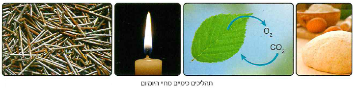 (בספר איור, היעזר במנחה)